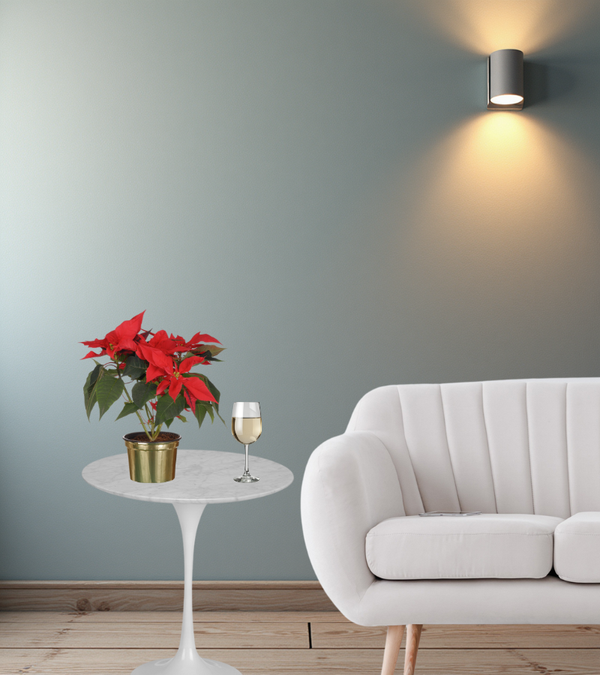 Round Carrara Marble Side Table 50cm