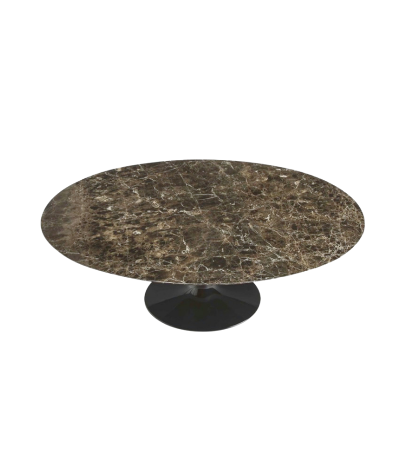 Marble Oval Coffee Table
